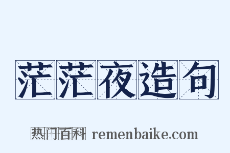 茫茫夜造句是什么意思的图片